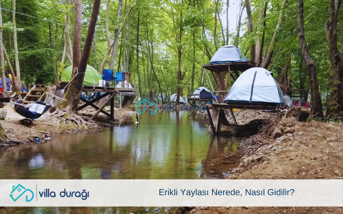 Erikli Yaylası Nerede, Nasıl Gidilir?