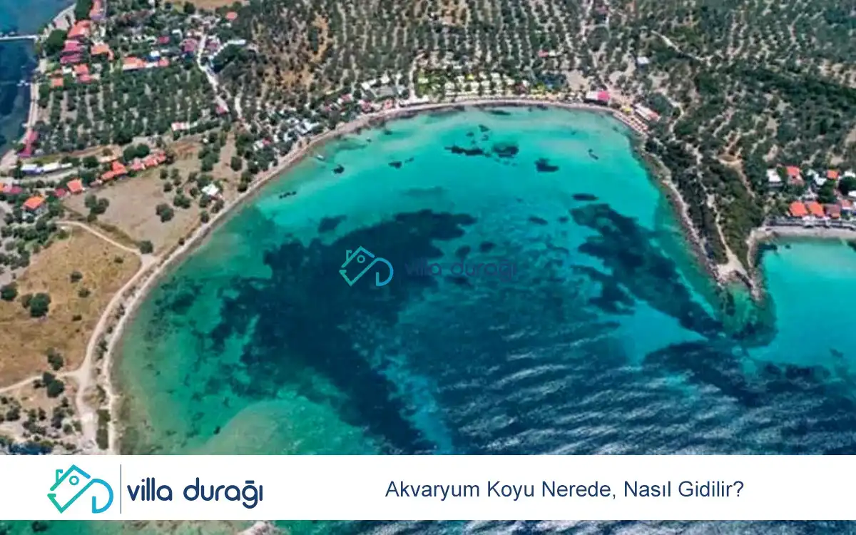 Akvaryum Koyu Nerede, Nasıl Gidilir?