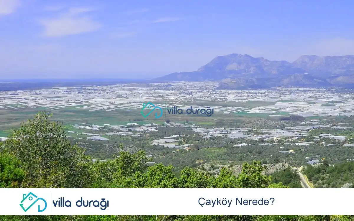 Çayköy Nerede?