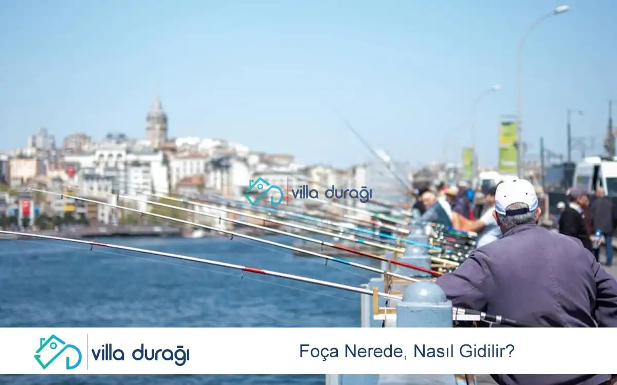 Foça Nerede, Nasıl Gidilir?