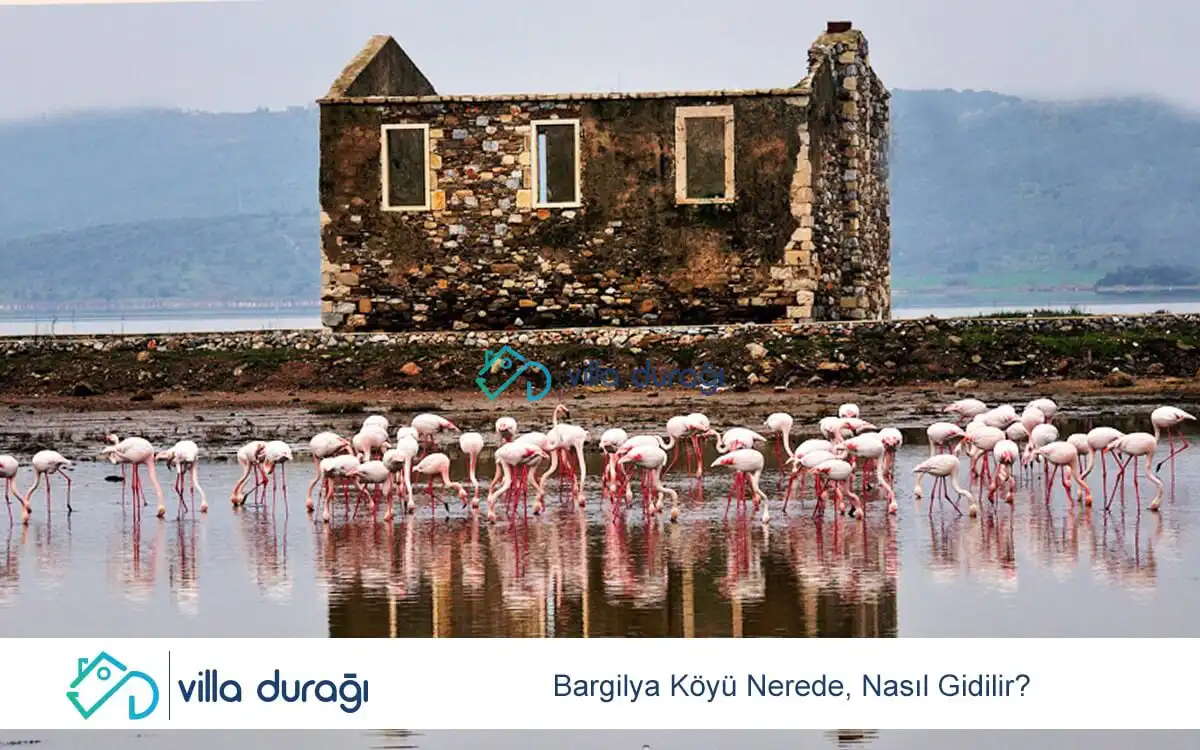 Bargilya Köyü Nerede, Nasıl Gidilir?