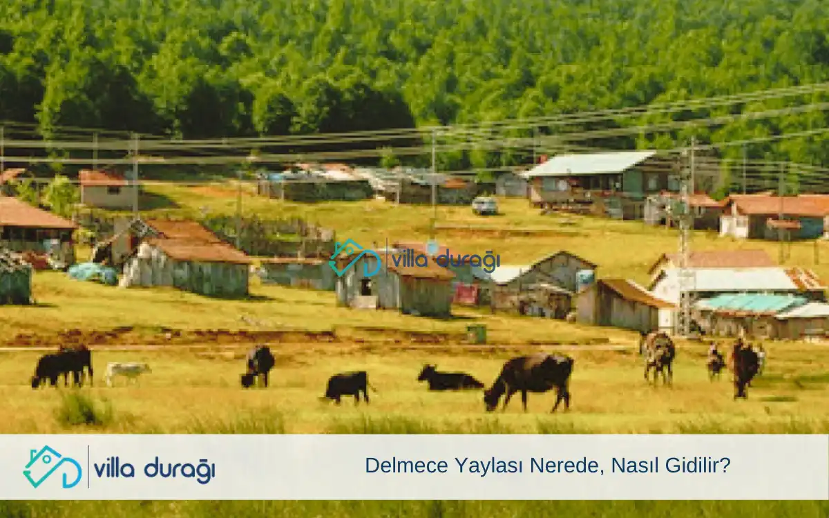 Delmece Yaylası Nerede, Nasıl Gidilir?