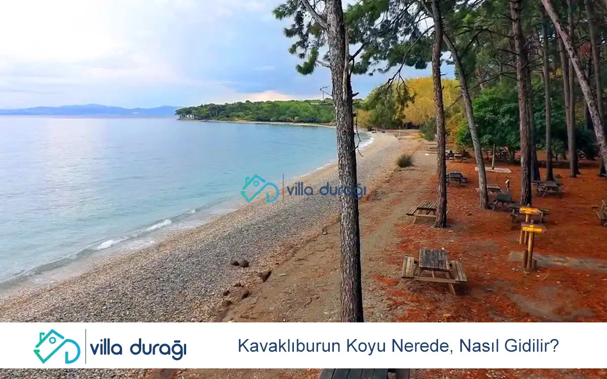 Kavaklıburun Koyu Nerede, Nasıl Gidilir?