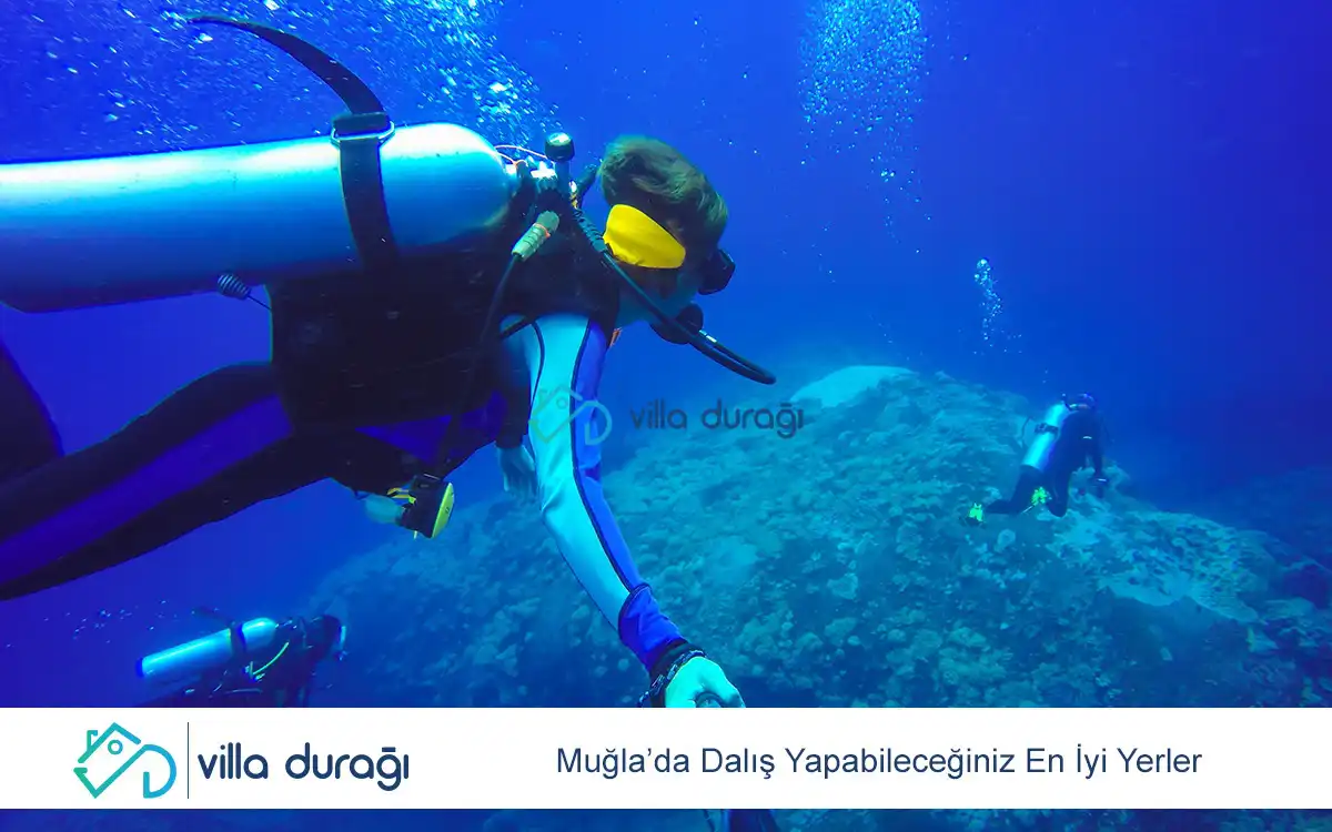 Muğla’da Dalış Yapabileceğiniz En İyi Yerler