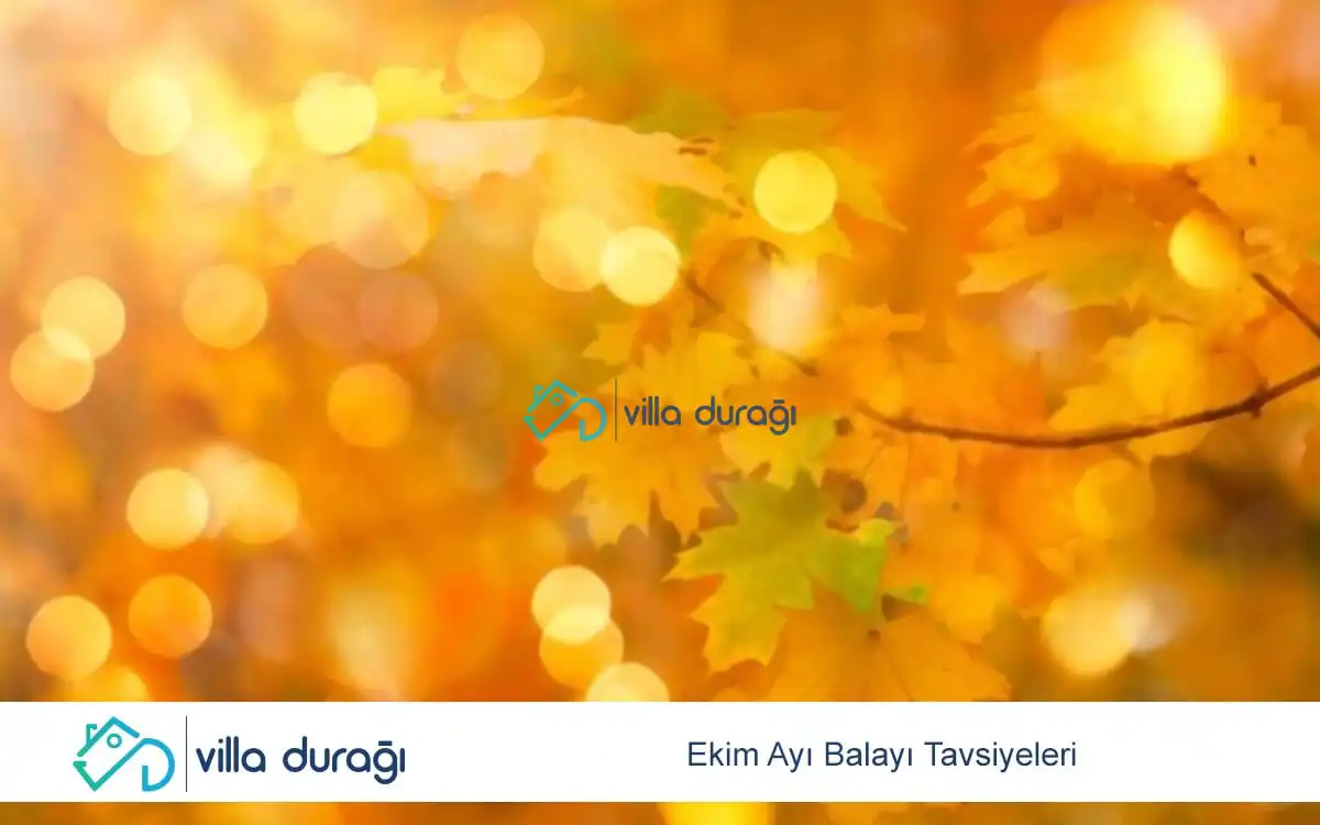 Ekim Ayı Balayı Tavsiyeleri