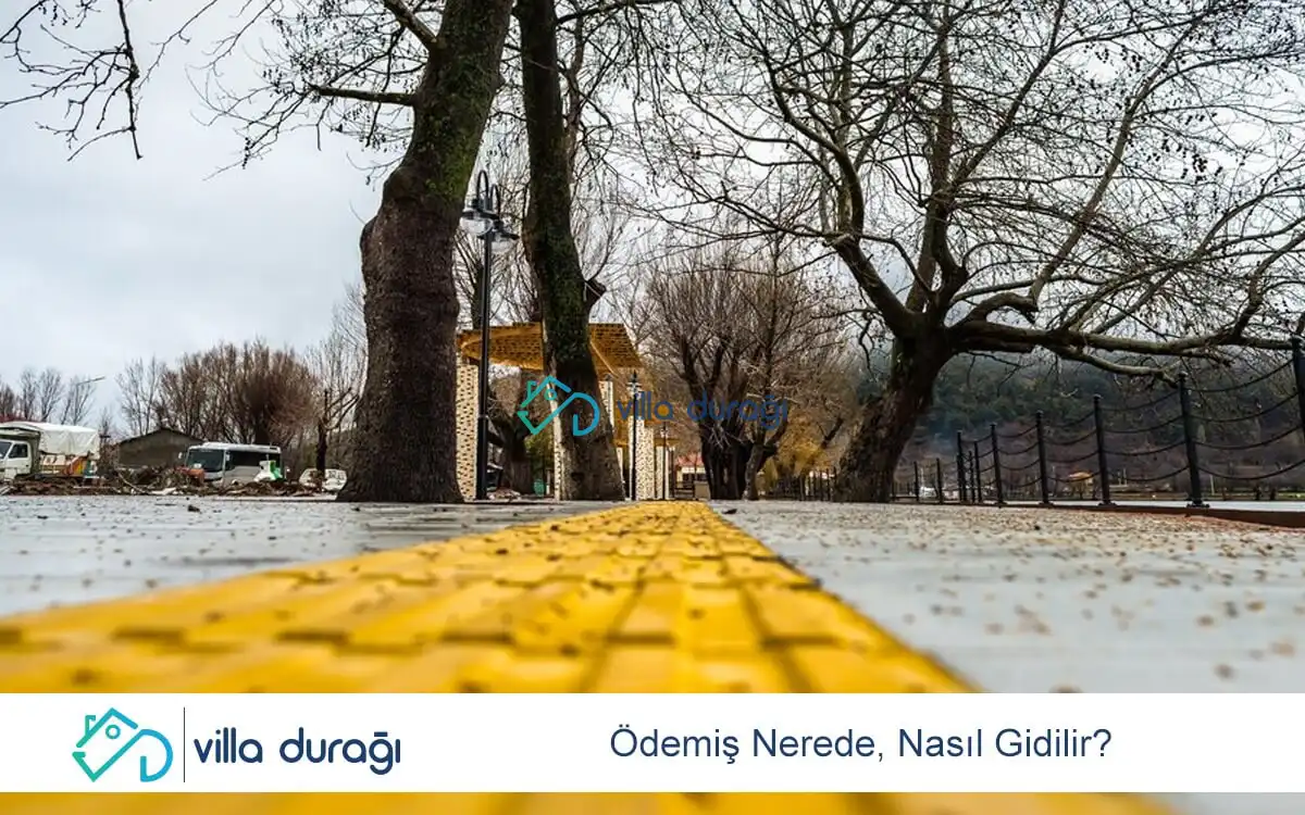 Ödemiş Nerede, Nasıl Gidilir?