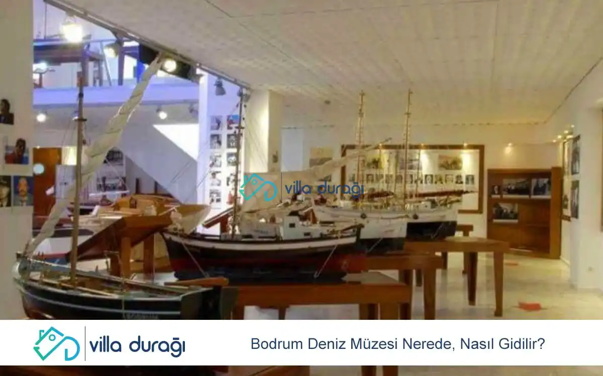 Bodrum Deniz Müzesi Nerede, Nasıl Gidilir?