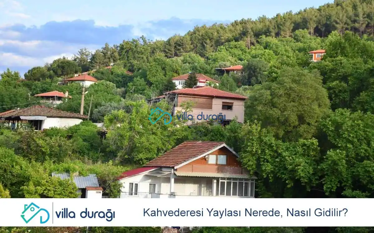 Kahvederesi Yaylası Nerede, Nasıl Gidilir?