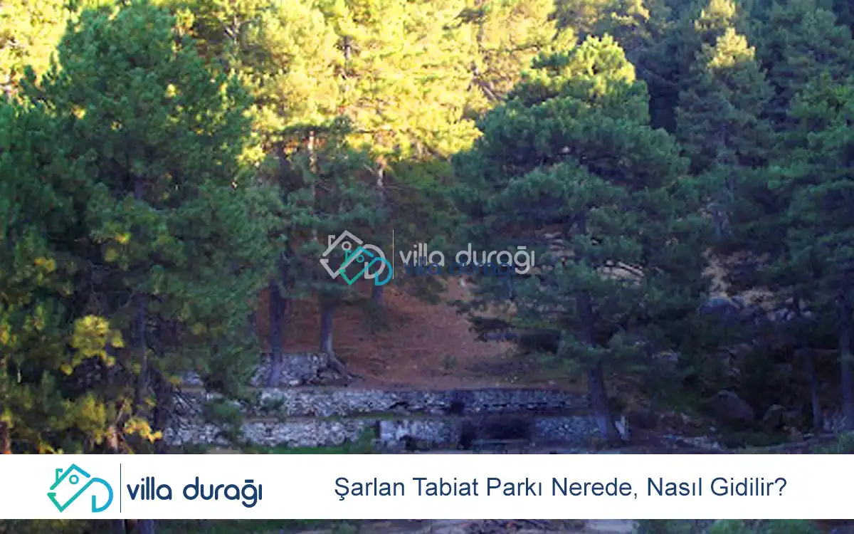 Şarlan Tabiat Parkı Nerede, Nasıl Gidilir?