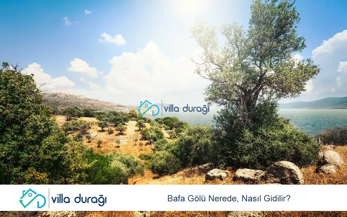 Bafa Gölü Nerede, Nasıl Gidilir?