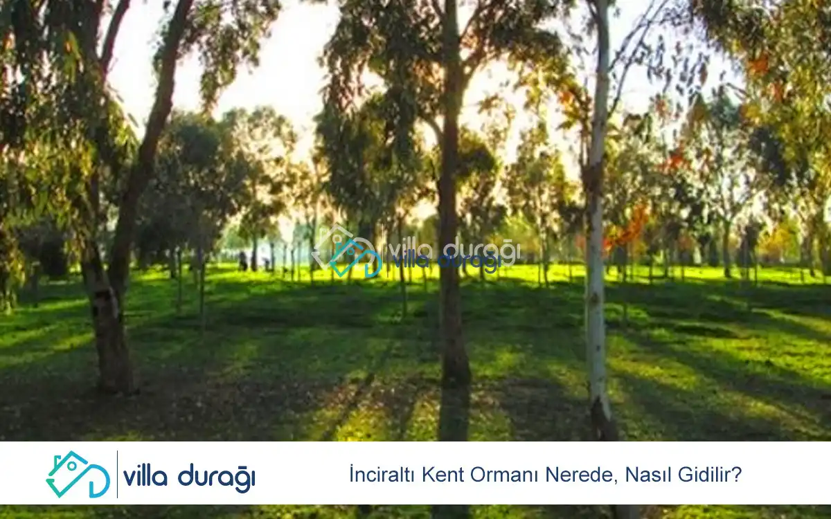 İnciraltı Kent Ormanı Nerede, Nasıl Gidilir?