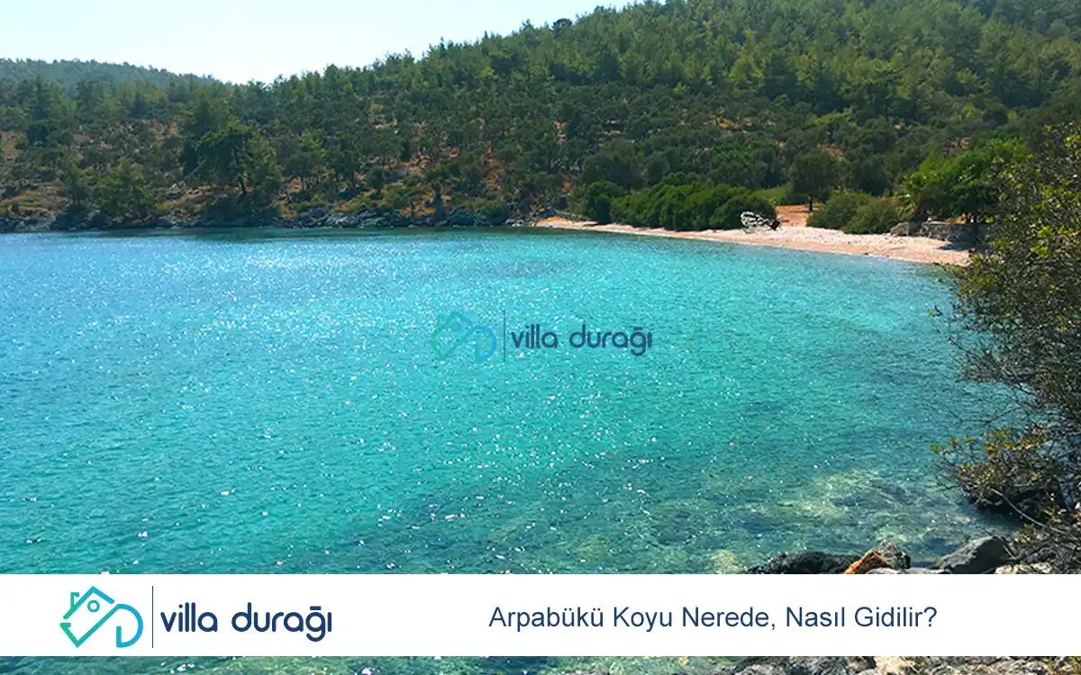 Arpabükü Koyu Nerede, Nasıl Gidilir?
