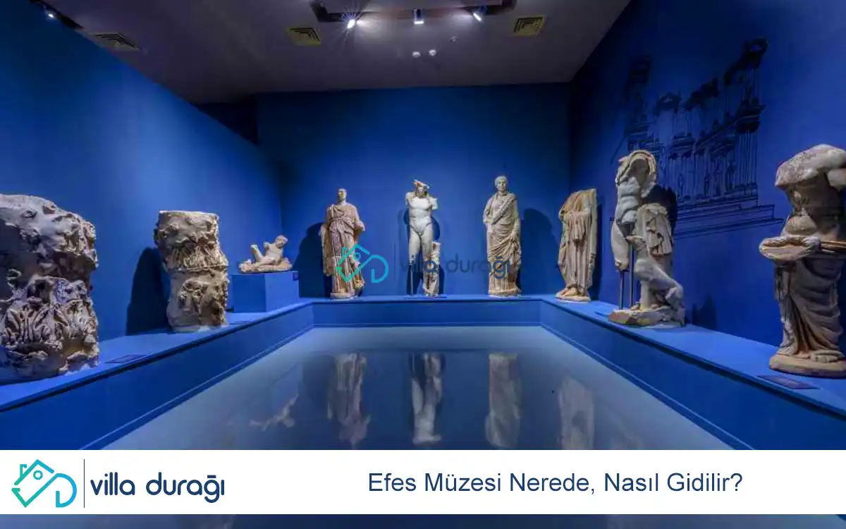 Efes Müzesi Nerede, Nasıl Gidilir?