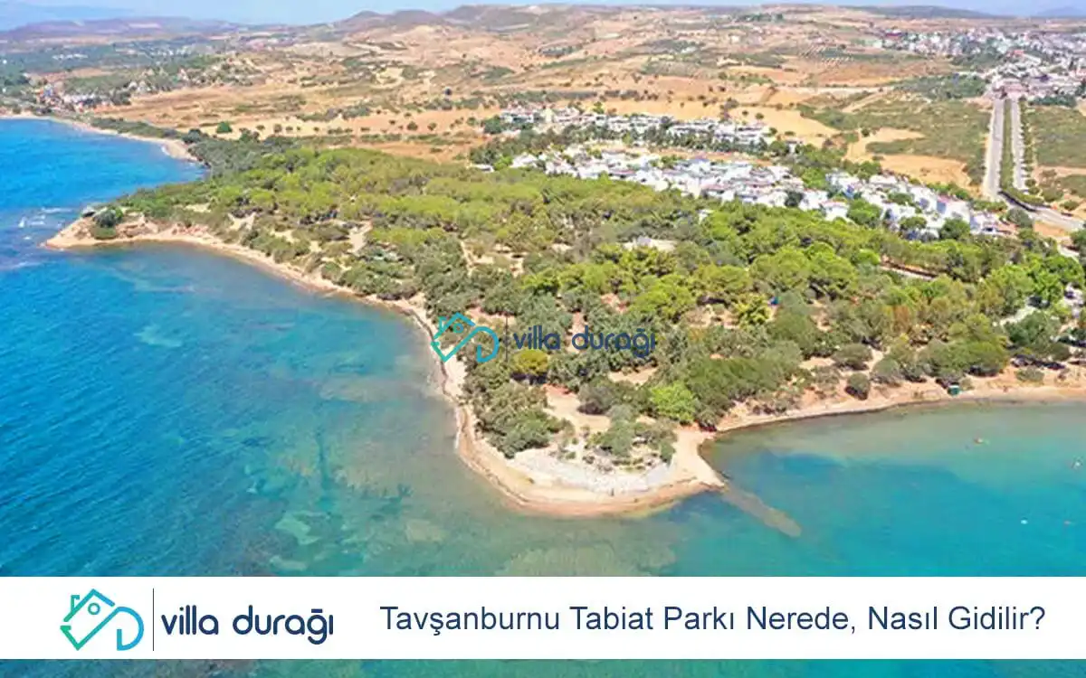 Tavşanburnu Tabiat Parkı Nerede, Nasıl Gidilir?