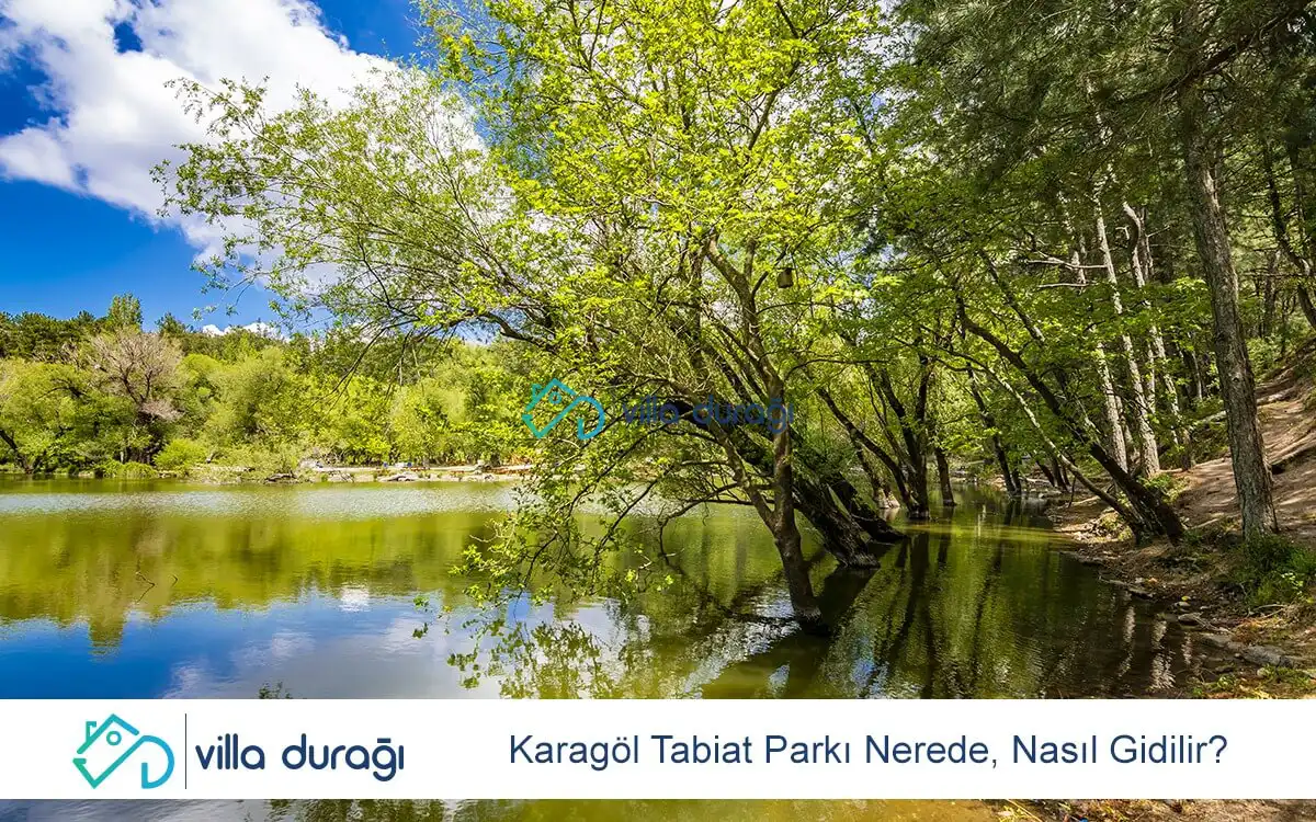 Karagöl Tabiat Parkı Nerede, Nasıl Gidilir?