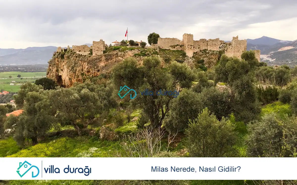 Milas Nerede, Nasıl Gidilir?