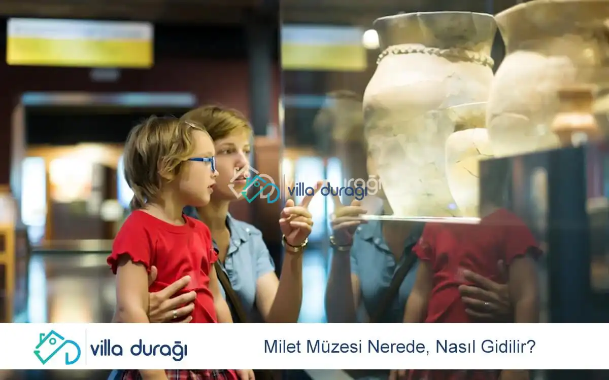 Milet Müzesi Nerede, Nasıl Gidilir?