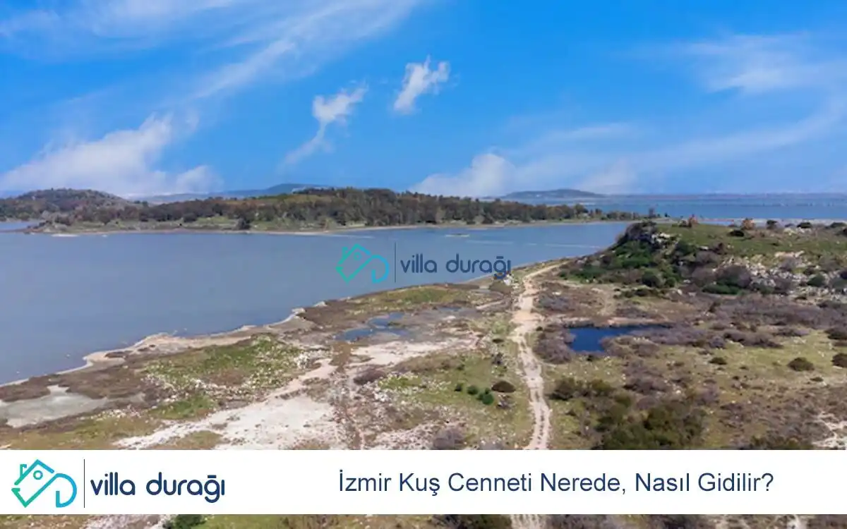 İzmir Kuş Cenneti Nerede, Nasıl Gidilir?