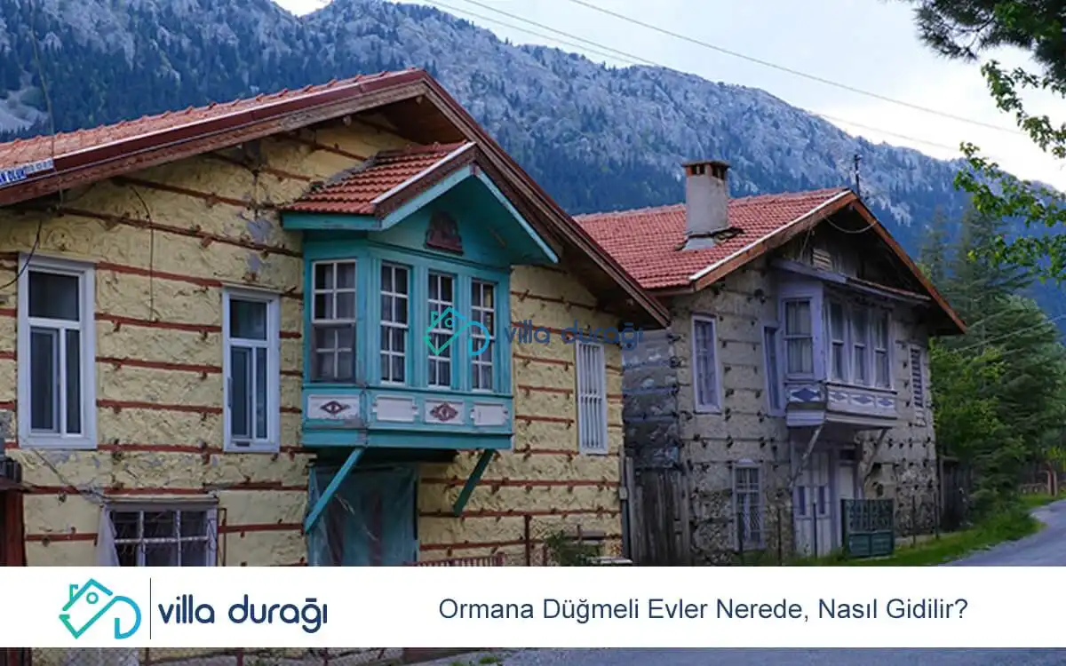 Ormana Düğmeli Evler Nerede, Nasıl Gidilir?