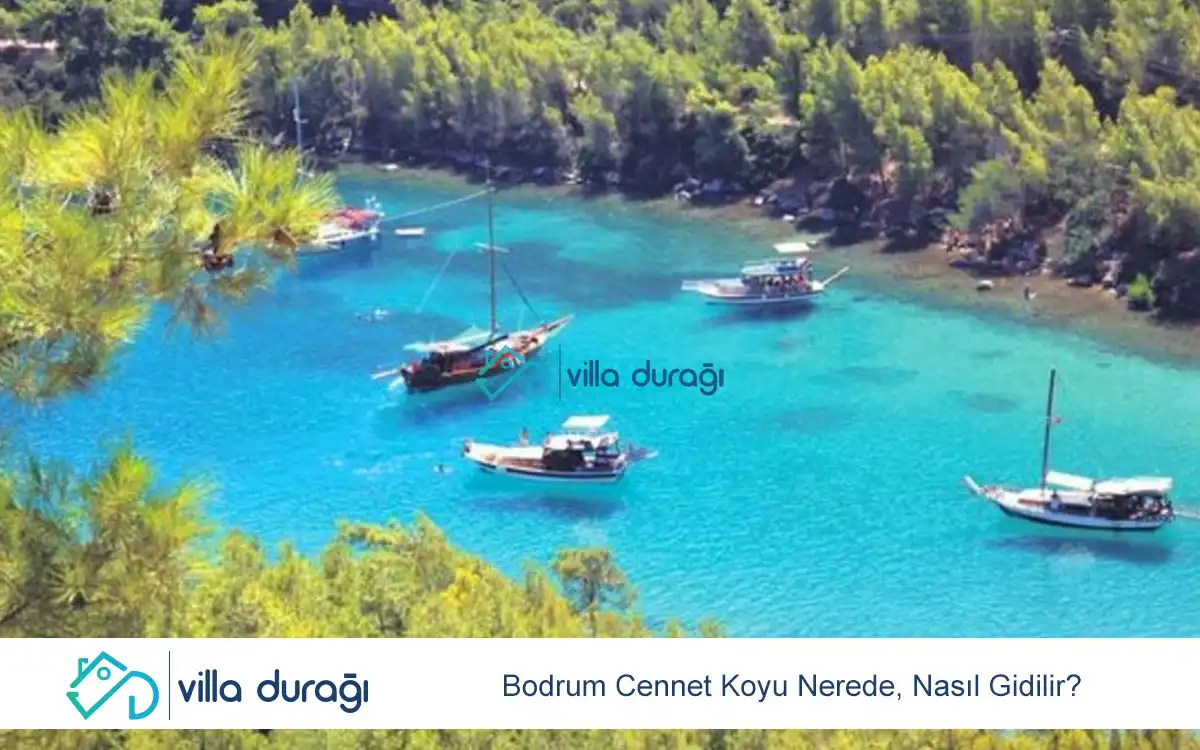 Bodrum Cennet Koyu Nerede, Nasıl Gidilir?
