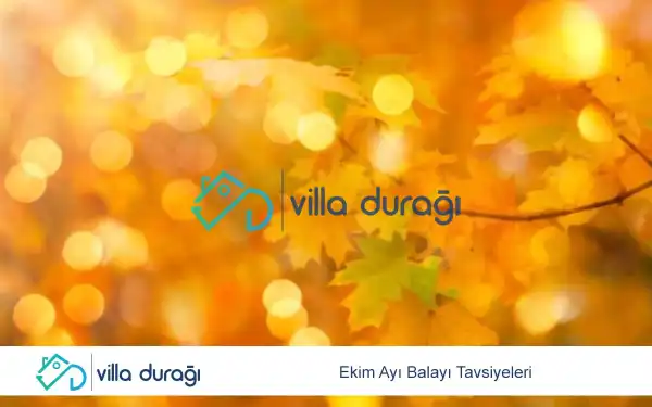 Ekim Ayı Balayı Tavsiyeleri