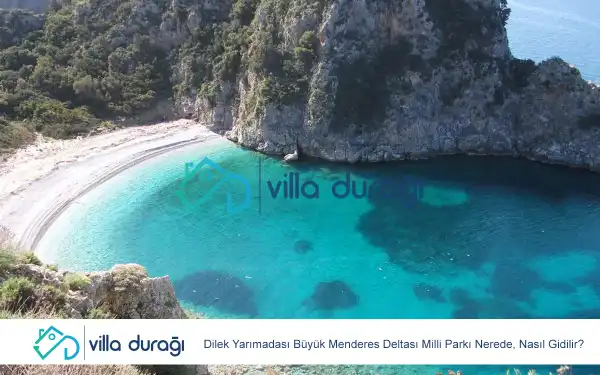 Dilek Yarımadası Büyük Menderes Deltası Milli Parkı Nerede, Nasıl Gidilir?