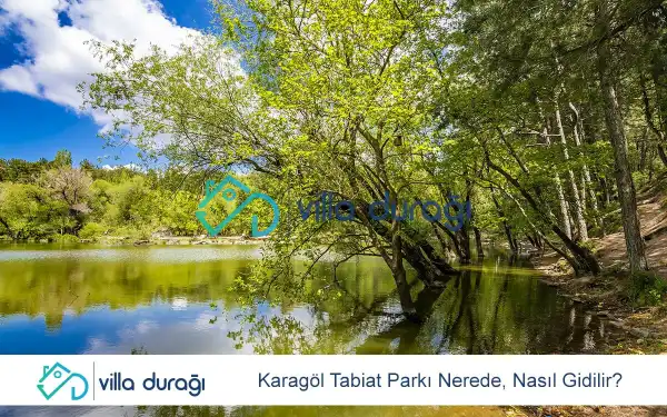 Karagöl Tabiat Parkı Nerede, Nasıl Gidilir?